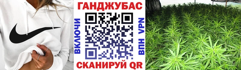 купить закладку Мураши Бошки Шишки сатива